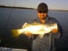 65cm hedland barra 